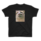 ★社不シスターズ★のうちのふてぶてしいねこ Regular Fit T-Shirt