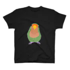 鳥の巣のコザクラインコのスイカ君 スタンダードTシャツ