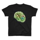 kobayasiraitaのamnesia (BRAINS UP) スタンダードTシャツ