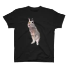 いきもの大好き！ほほえみフレンズのウサギさんのおすましポーズ Regular Fit T-Shirt