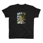 ミクロの多肉植物の黒法師 Regular Fit T-Shirt