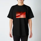 HI・TO・RIのHI・TO・RIじゃない林檎 Regular Fit T-Shirt