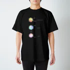 ピヨ_chemistryの芳香族化合物 スタンダードTシャツ