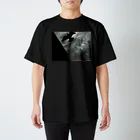 photographer_khjのBlack Bird スタンダードTシャツ