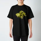 Tonyside Farm Shopのサニーレタス種まきから28日後Tシャツ Regular Fit T-Shirt