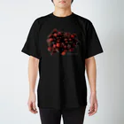 TANIKU-WANのブラックベリー咲き スタンダードTシャツ