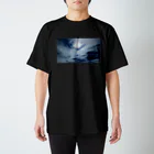 Kusatimuiの宝珠 スタンダードTシャツ