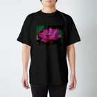 つぶつぶとのlotus（pink） スタンダードTシャツ