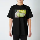 vw_wp0000のは Regular Fit T-Shirt