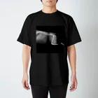 愛猫のグッズが欲しいのホネナス Regular Fit T-Shirt