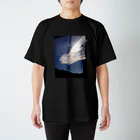 もじゃもじゃにこりのそらの芸術 Regular Fit T-Shirt