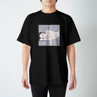 non.FuLFiLLのふじ スタンダードTシャツ