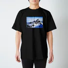 YOUJIN -ART GALLERY-のSnowy Mountain Photo & Scorpius　 スタンダードTシャツ