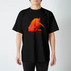 IYASAKA design のらんちゅう Regular Fit T-Shirt