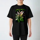 KAERUCAFE SHOPの水草の気泡 Regular Fit T-Shirt