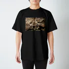 神田🅙のカクトクリヌス Regular Fit T-Shirt