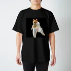 きんじょののらねこのきんじょののらねこ Regular Fit T-Shirt