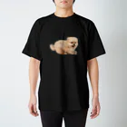 ポメラニアンのちゃちゃの困り顔の赤ちゃんポメ Regular Fit T-Shirt