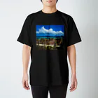 ＮＯＲＴＨ★ＳＴＡＲ　　　　　　　　　　　　のーす　すたあの古宇利島 スタンダードTシャツ