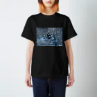 秀美のfade Regular Fit T-Shirt