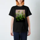 あかつきの花火 Regular Fit T-Shirt