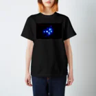 THE PUNK LABELのETERNAL and GALACTIC(PLEIADES × THE PUNK LABEL) Regular Fit T-Shirt