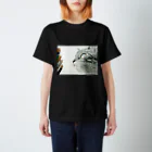 Sonna Kanjiのグッズの空を見てる猫 スタンダードTシャツ