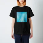 氷ノ商店の氷のティシャツ Regular Fit T-Shirt