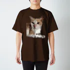 laosukiのちゃしろん ຈາຊີລອງ スタンダードTシャツ