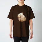 三毛犬小屋の木彫りのオカメ Regular Fit T-Shirt