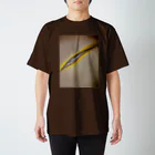 ケイたぬきの色を楽しんでください スタンダードTシャツ