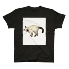 ネコノートショップ（neco-note shop）のビビ（つかねこ） Regular Fit T-Shirt