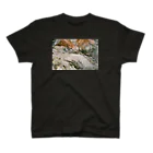 PHOTOGRAPHICsのIO スタンダードTシャツ