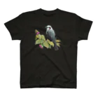 野鳥生活のヒヨドリとさくらんぼ（濃色） スタンダードTシャツ