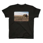 paweyetailの大草原の大きなゾウ スタンダードTシャツ