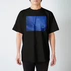 たこまんの気まぐれ屋のSummer scenery T-shirt カナタ スタンダードTシャツ