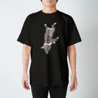 megumiillustrationの昼間のねこ スタンダードTシャツ