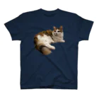 レンダリングレンジャーのねこ スタンダードTシャツ