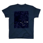 Polarisの夜空に輝くPOLARIS スタンダードTシャツ