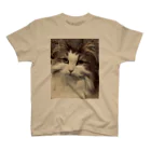 Toi toi toi!のもふ猫Ｔシャツ スタンダードTシャツ