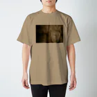 だいてぃはんのムードデルロウソクティーシャツ Regular Fit T-Shirt