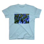 水りんご@ランニングマンの幸せの青い花 スタンダードTシャツ