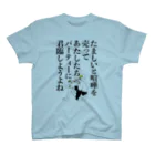 あきこのけんか（明朝） スタンダードTシャツ