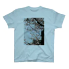🦈望月🦁まなみん♠️🍎の中庭桜 スタンダードTシャツ