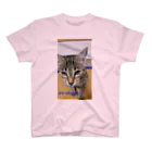 nyankodesuのニャンコのso-dane スタンダードTシャツ