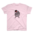 243のかしげる文鳥　桜文鳥 スタンダードTシャツ