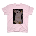 MERUNO YOKOHAMAのRabbit Bunny スタンダードTシャツ