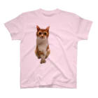 mazicaruayanyanのおじじ猫 Regular Fit T-Shirt