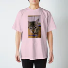 nyankodesuのニャンコのso-dane スタンダードTシャツ