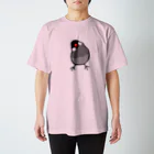 243のかしげる文鳥　桜文鳥 スタンダードTシャツ